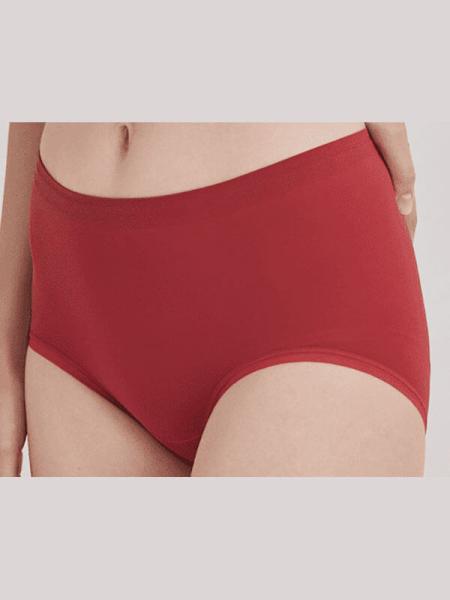 Microfiber Seamless Ladies Hipster Briefs Breathable Quick Drying