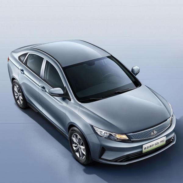 2024 Hot sales EV Electric Vehicle Maple Leaf 60s PRO Pure electric