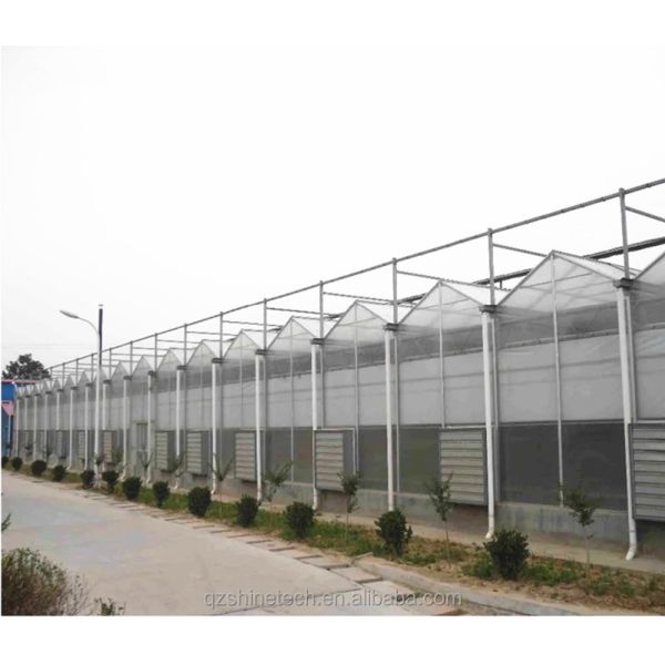 Tomato Grow Agriculture Greenhouses Manufacturers in Venlo Style with PC Sheet Cover