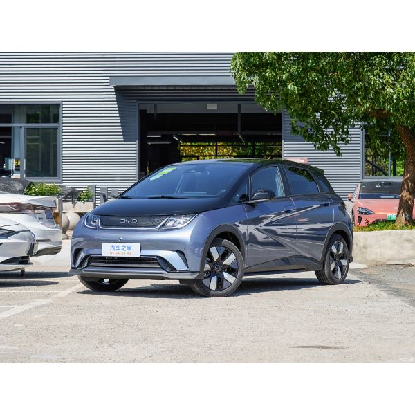 CGC BYD Dolphin 2024 5 Door 5 Seat Hatchback ev Electrical Cars SUV Sedan and Durable