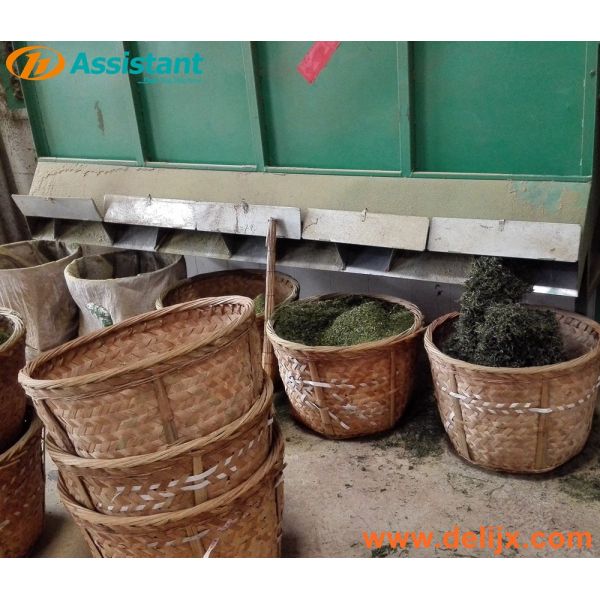 High Grade 4 Level Tea Winnowing Machine DL-6CFX-40 for Conveying Bandwidth 225mm