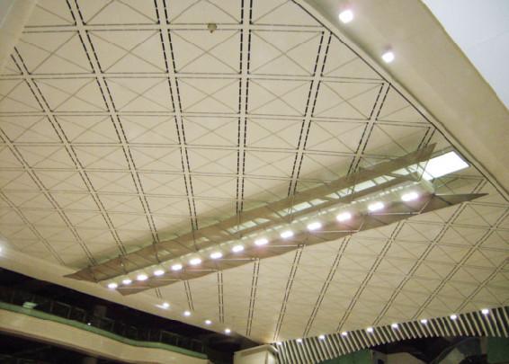 Third dimension Artistic Ceiling , Residential ceiling tiles 350mm x 550mm