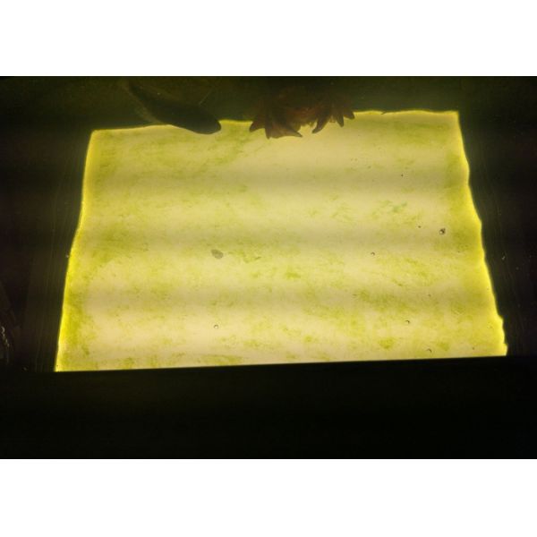 18W / 24W / 36 W Outdoor Waterproof LED Panel 300x300 High Efficiency