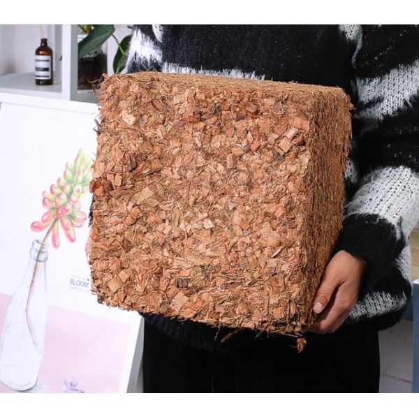 Indonésia Mercado Coco Turfa Máquina de Fabricação de tijolos Cold PRESS 650g 5kg para o Cliente