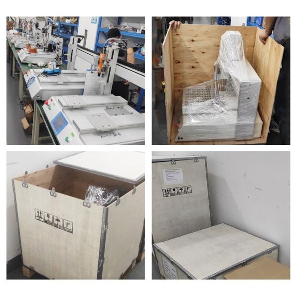 Auto Screw Pneumatic Feeder Floor Type Multi Axis Automatic Screw Locking Machine with Double Screw Head and Rotary Table Auto Screwdriver Machine