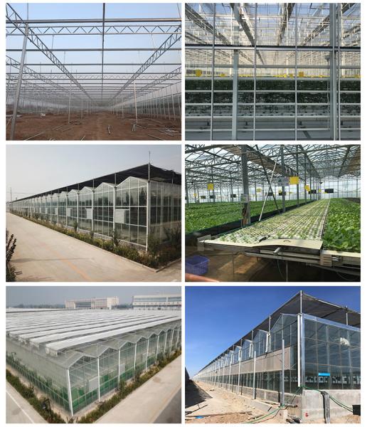 Efficiently Grow Crops Solar Agricultural Greenhouses  All Year Round