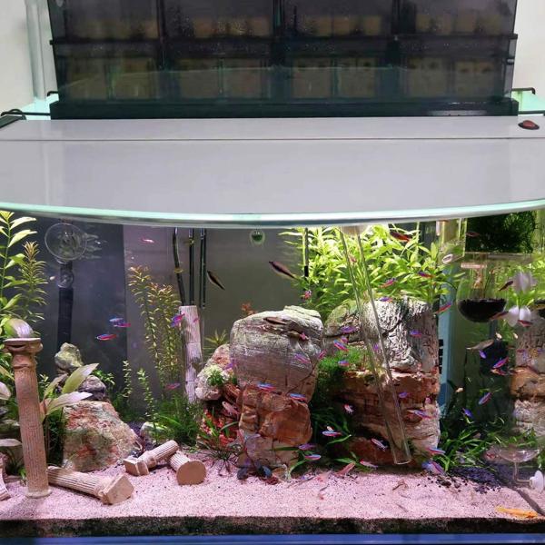 Premium Ceramic Biological Filter Media For Sump Tank