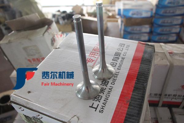 WP123003QD Weichai Engine Spare Parts Air Intake Valve 612600050073