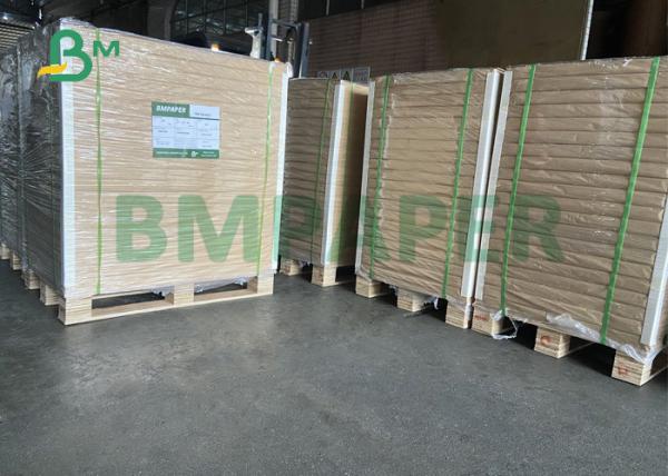 tampa revestida branca de 10pt 12pt C2S para 25 imprimindo comerciais x 38inch