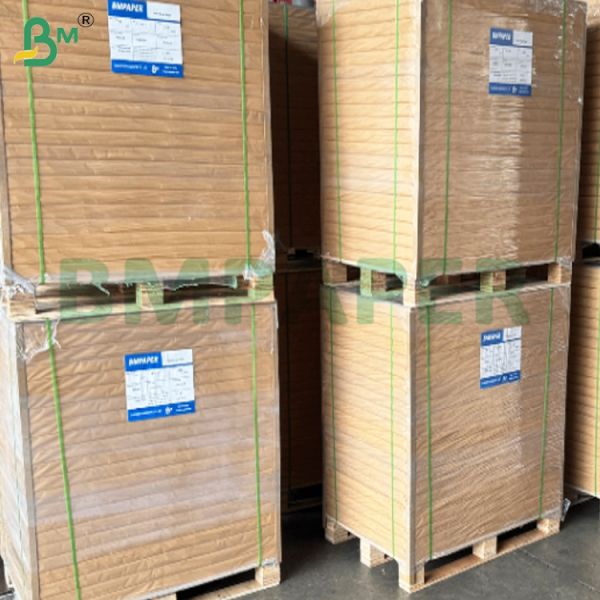 耐熱PEコーティングカップ原紙シート 環境に優しい