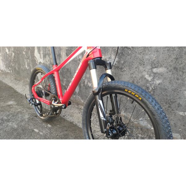 20 дюймовый детский велосипед с вилкой и карбоновой рамой весит всего 11 кг.