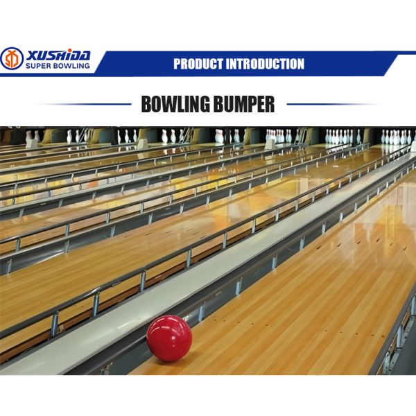 CE Certified Approved and Accpet OEM Bowling Lane Equipment to Fitness Exercise Body (ООО 
