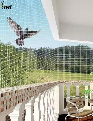 Réseau d'oiseaux agricoles UV stabilisé Réseau de contrôle d'oiseaux personnalisé Blanc