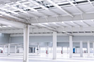 Immeubles d'entrepôt en acier de 200 mm sur mesure avec revêtement de toit et de mur