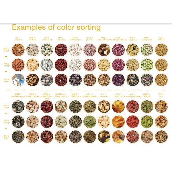 Precisão de aperfeiçoamento da rampa 99,9% do classificador 1 da cor da semente da grão