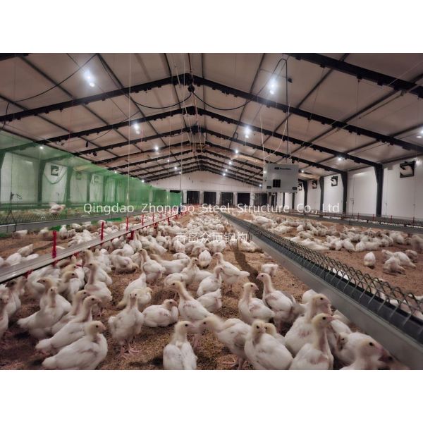 Customizable Prefabricated Steel Structure Poultry House with Robust Structural