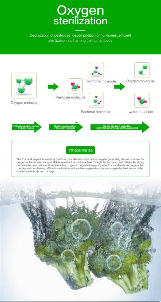 Meeting Household Pesticide Sterilization Multifunctional Kitchen Food Washer Safety And Energy Saving