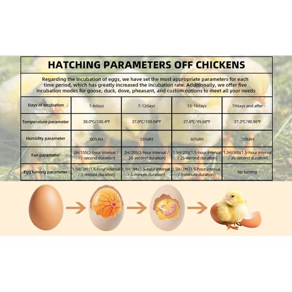 264 Egg Incubator With Automatic Egg Turning,Temperature Control And Humidity Control,Hatching Eggs,Chicken,Ducks,Poultry,Industrial Brooding Machine Chicken Incubator For Farm,Lab,Home,Indoor
