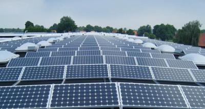 Painel solar personalizado vidro fotovoltaico com alta transmissão de luz