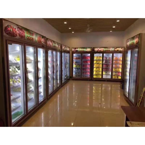 Auto Defrost Double Door Rh70% Commercial Display Freezer