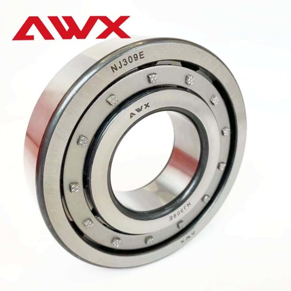 Brass Cage Material Full Complement Cylindrical Roller Bearings NJ2226E NJ2227E  For High Precision Applications