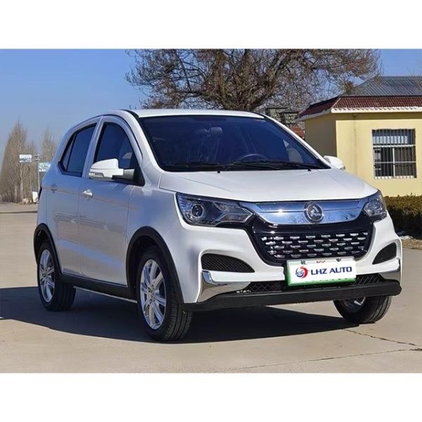 2024 Micro Electric Vehicle Low-Speed Five Doors Five Seats and Max Speed of 60km/h