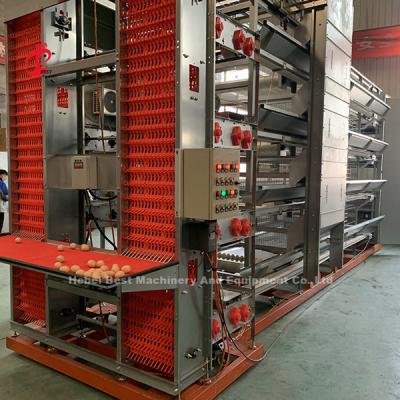 Equipamento de gaiolas automáticas de tipo H para 25000 aves