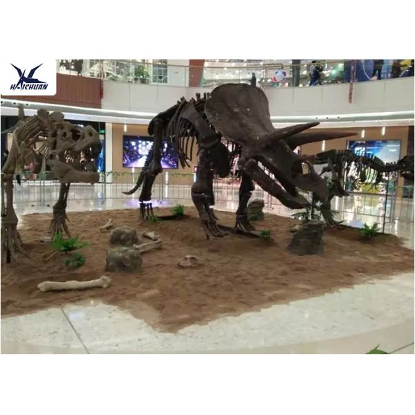 Decorative High Simulation Dinosaur Skeleton Replica Lifelike Dinosaur Skeleton