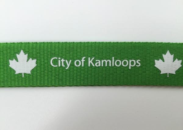Promotions custom Green color silk screen printing Lanyards with any customized logo