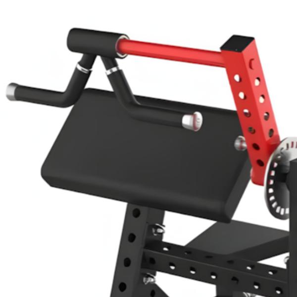 Biceps & Triceps Extension Machine for Bodybuilding Fitness