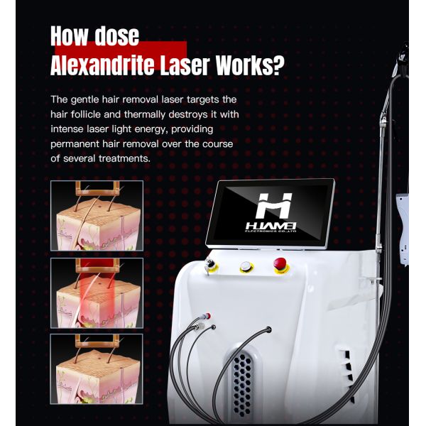 Long Pulse Hair Removal 755nm 1064nm Alexandrite Machine for Veins and Vessel Removal