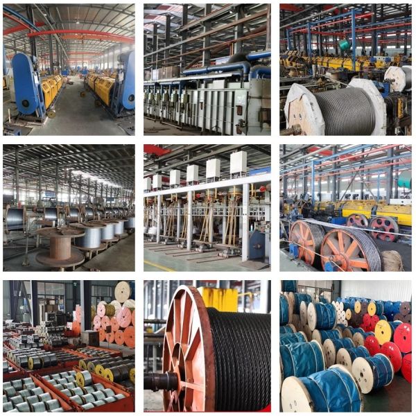 Non-Alloy Copper Coated Wire Rope Brass Plated Steel Wire Rope 1*7 1.0mm Tolerance Other