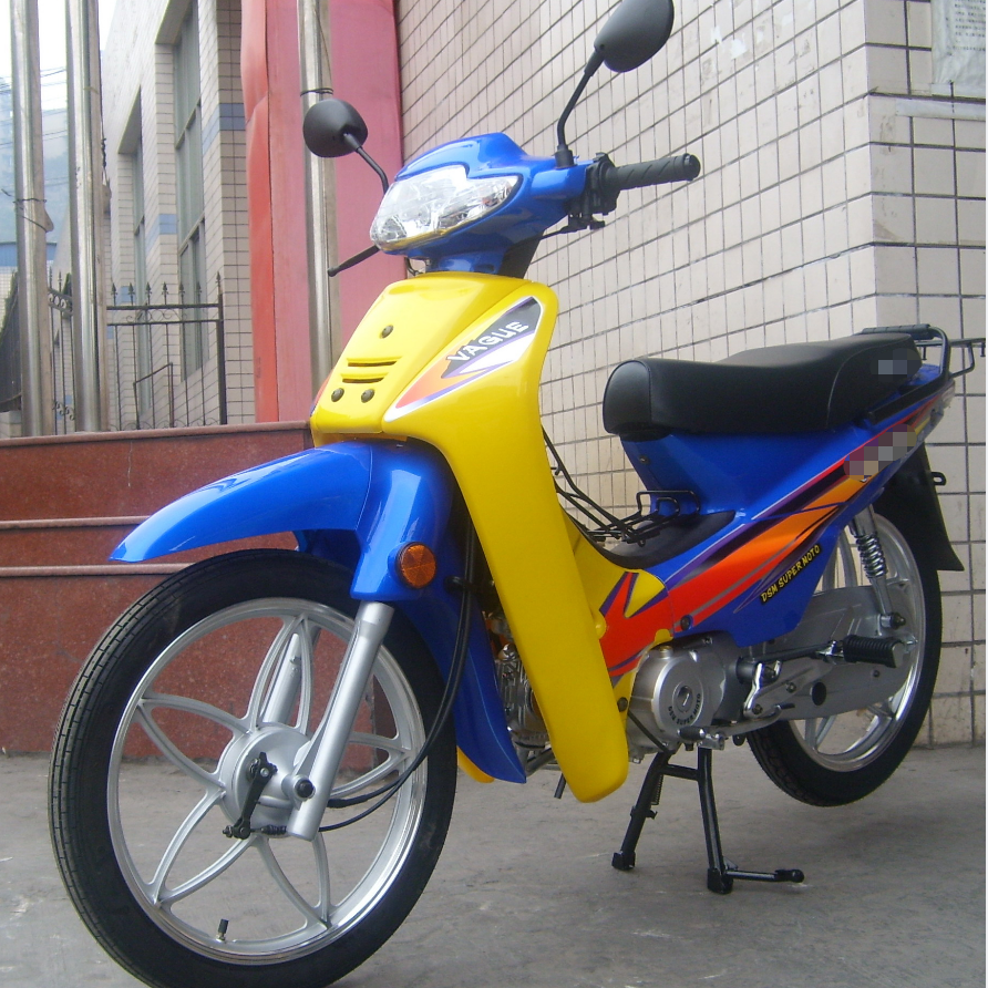 Fabrique de moteurs à quatre temps à l'importation directe et bon marché de 110 cc