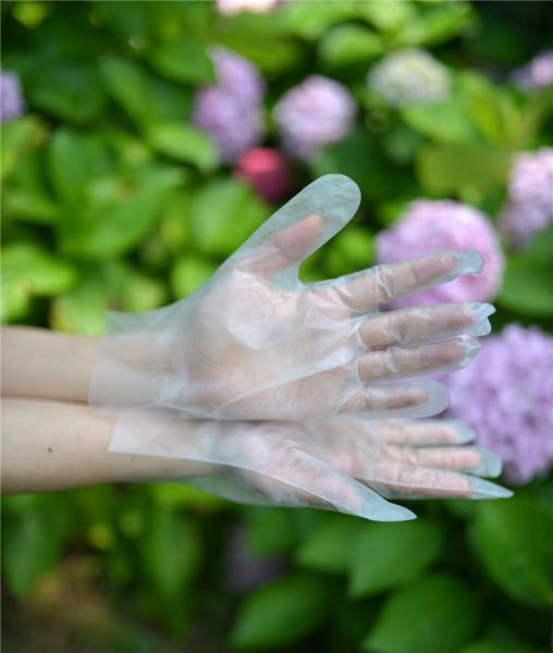 Transparent Cleaning 0.8g/Piece Disposable Hdpe Gloves