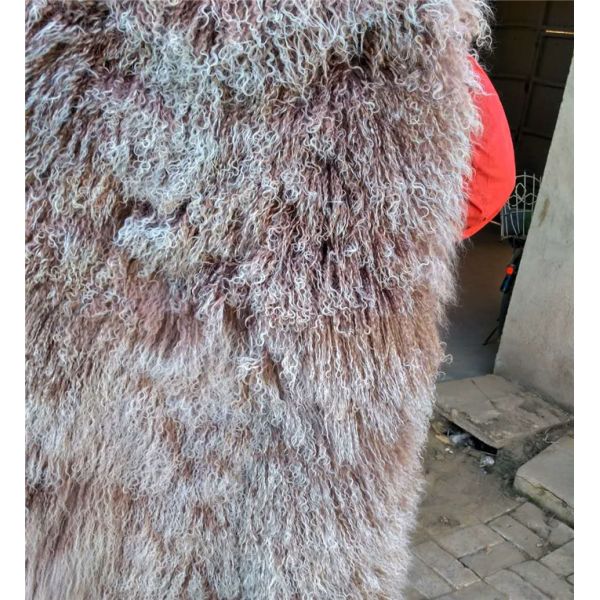Real Long hair Sheepskin Genuine Mongolian lambswool curly sheep fur blanket