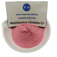 Methionina Aminoácido Quelato Cromo Melhora o Desempenho Reprodutivo das Suínas