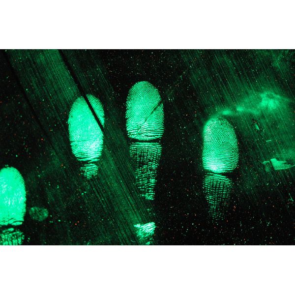 C115 Yellow fluorescent magnetic fingerprint powder