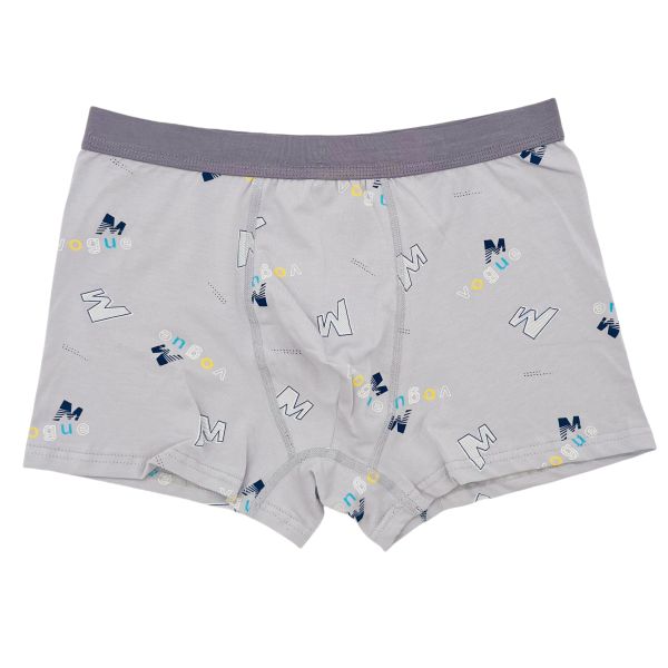 Men Boxer Brief Cotton Wholesale Rich Colors Plus Size Men's Boxer Briefs