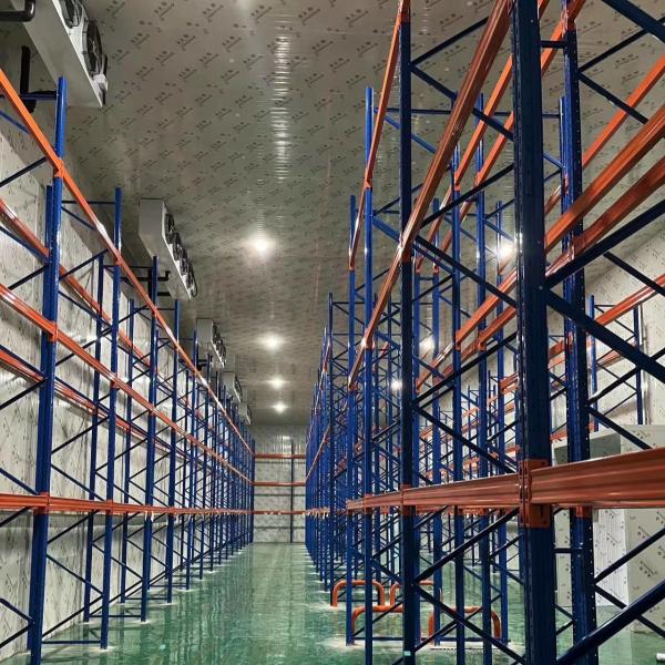 Professional Grade Freezer Cold Room for Safe and Hygienic Storage of Goods