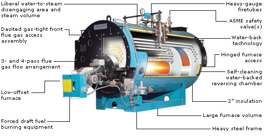 Simple Structure Natural Gas Steam Boiler Low Noise Quick Installation