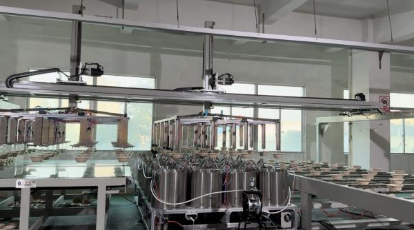 Industrial Waterproof Coating Line for Pulp Molded Packaging - Heavy-Duty Production Solution