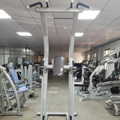 Bodybuilding Fitness Chin Up Bar Body Fit Machine OEM ODM