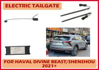 Haval Divine Beast/Shenshou Porte arrière électrique