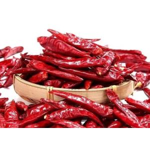 Tien Tsin высушил перцы красных чилей для Szechuan вводит варить в моду ингредиент Kung Pao
