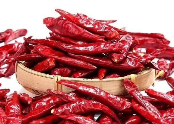 Chaotian secou pimentões vermelhos inteiros Tianjin Chili Dehydrated dos pimentões vermelhos