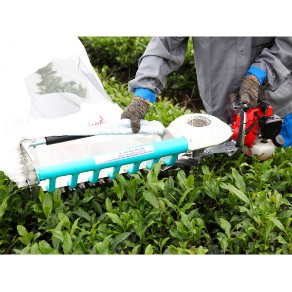 Mini Tea Leaves Plucker DL-4C-T506 by Kawasaki 1.4 HP Tractor Power ISO9001 Certified