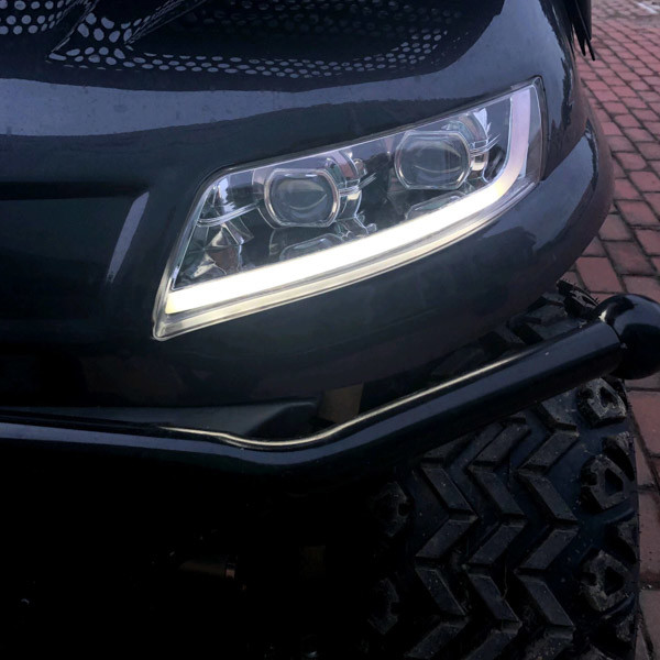 Сеатер электрической тележки для гольфа ОДМ 30мх 4 ЭВ вся местность для курорта отдыха клуба