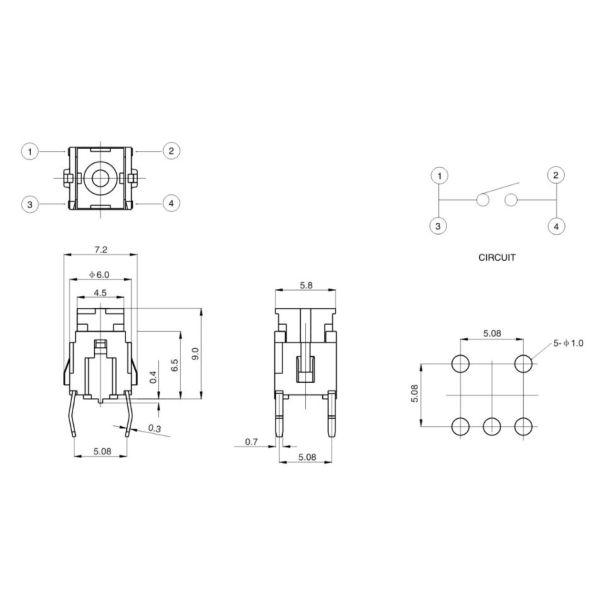 12v Illuminated Tact Switch ISO9001 Approved 7 Colors Available