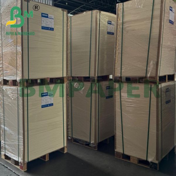 230g 245g Disposable Uncoated Lunch Box Board for Food Packaging