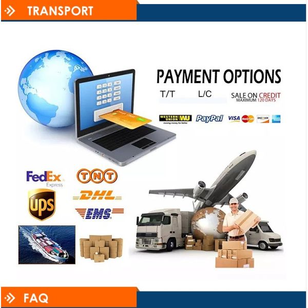 Home Kitchen Easy-to- SF-400 Digital Kitchen Scale with 5kg Maximum Weight Recommendation